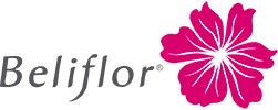 Beliflor Maroc